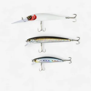 KIT POISSONS NAGEURS LEURRE ET TRAÎNE PÊCHE EN MER